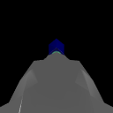 HarrierFlying